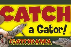 Gatorama Catch Sign