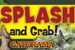 Gatorama Splash Sign