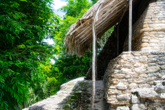 Mayan-Bohio