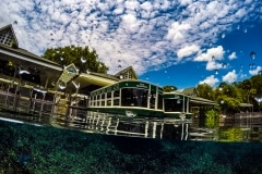 Glass Bottom Boats at Silver Springs
