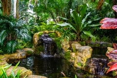 Little Waterfall at Sunken Gardens